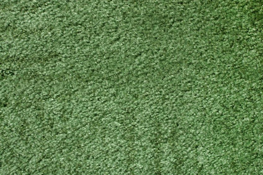 7752283 - a green carpet texture, close-up