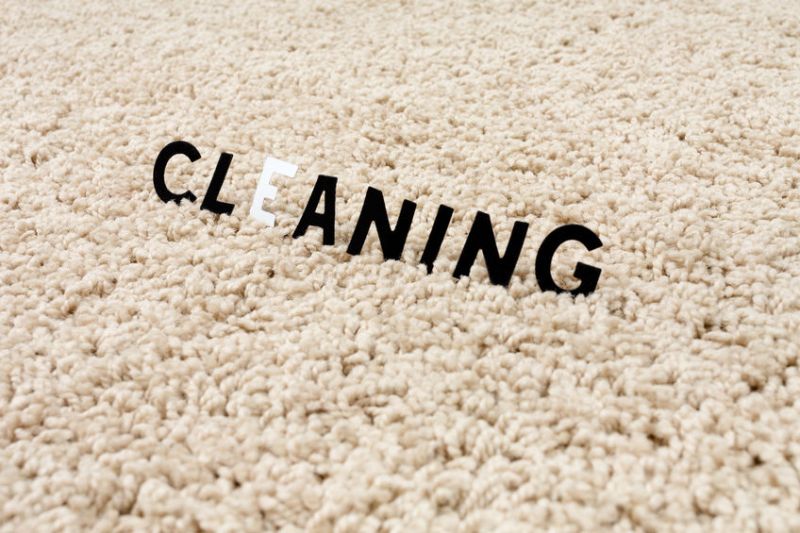 37889430 - the image of the cleaning carpet