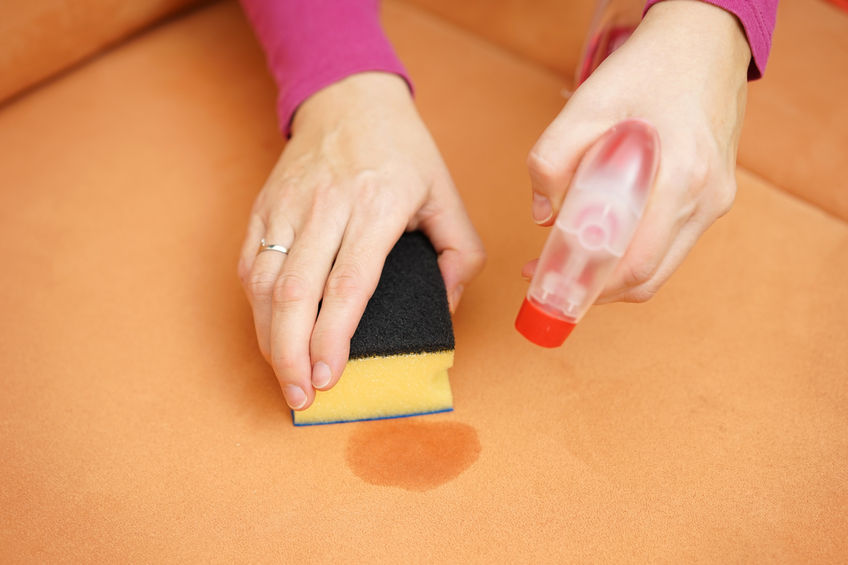 36086172 - professional cleaner is cleaning stain on sofa with spray bottle and sponge